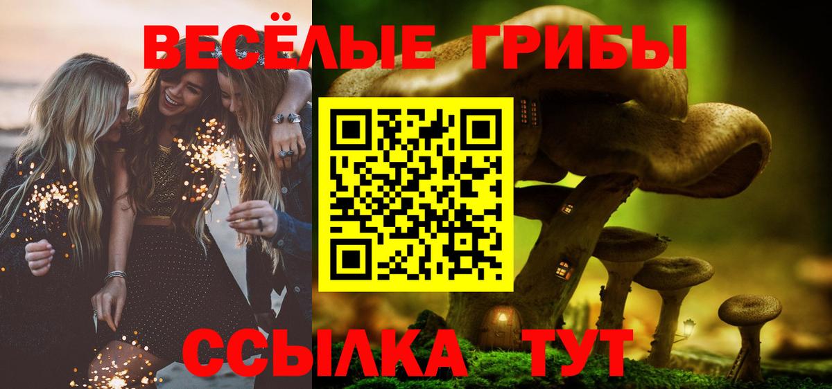 Ирбит  Псилоцибиновые грибы Psilocybine cubensis  Вход с VPN 